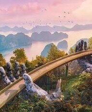 大象传媒网址链接-探索大象传媒的多元化内容平台，一个创意与信息交融的数字空间