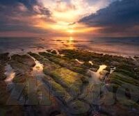 麻豆经济视频合集-麻豆经济，解锁短视频内容的无限商机新视角