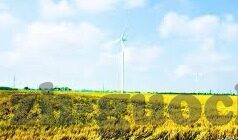 麻豆蜜桃国产视频-二、网络推广与互动效果