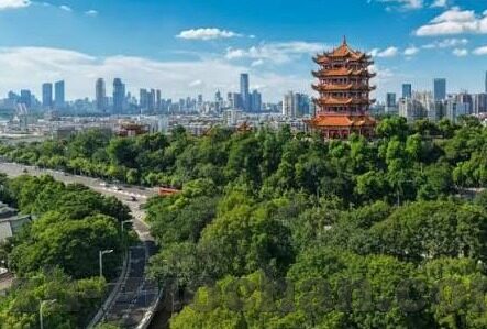 麻豆研究院app-麻豆研究，APP的多样性与应用潜力