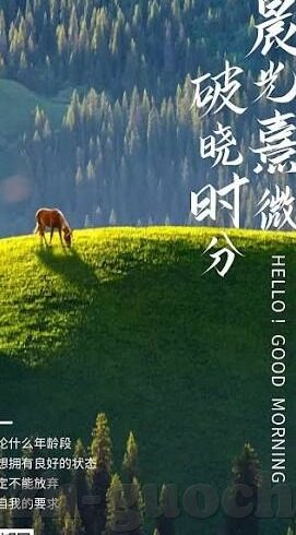 糖心app免费版下载-数字时代的便捷新体验，糖心app免费版探索