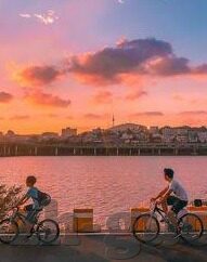 糖心视频app官网入口-踏上数字影音新纪元，探索糖心视频的精彩世界
